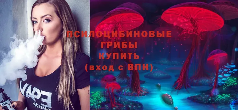 Псилоцибиновые грибы Psilocybe  сколько стоит  Мурино 